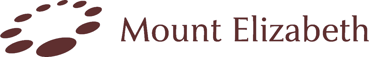 Mount Elizabeth Hospital